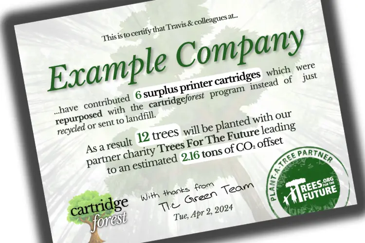 Example thank-you certificate